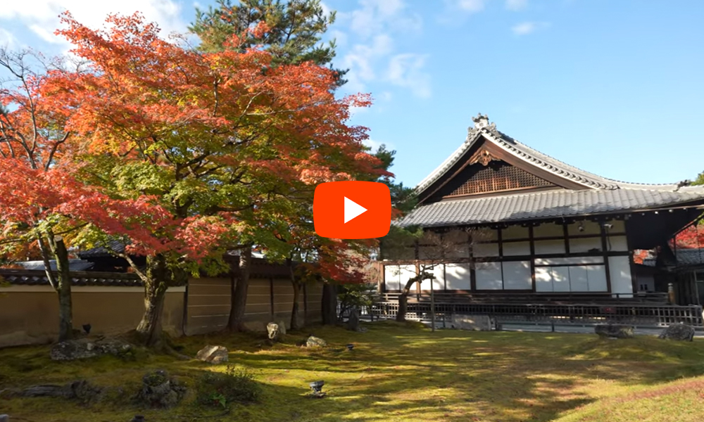 京都 高台寺 紅葉(4K) カエデ・エリシア京都 caede|L’ELISIR KYOTO